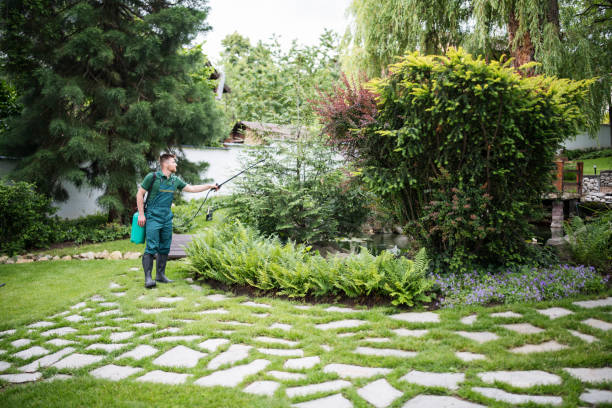 Best Pest Control Near Me  in Orange Blossom, CA