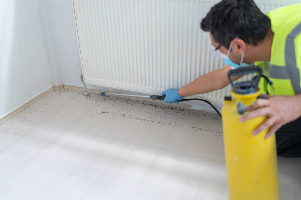Best Wildlife Control Services  in Orange Blossom, CA